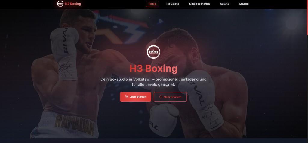 H3 Boxing Webseite preview