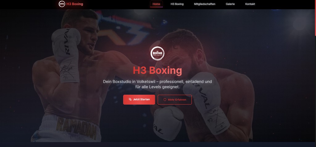 H3 Boxing Webseite preview